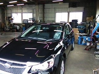 黒いラブラドール3号(まだ無傷)