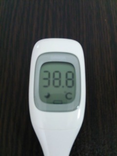 38.8度