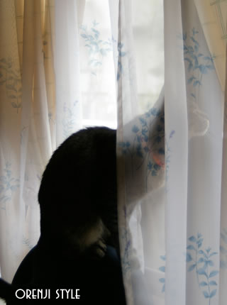 choko