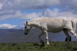 5074c27f.jpg
