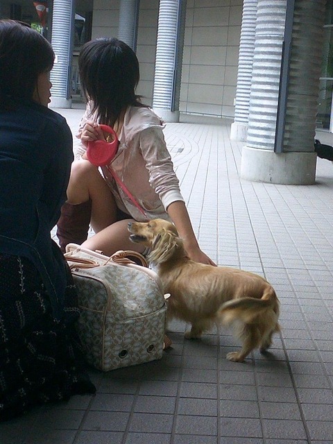 座って気を抜いた瞬間にパンチラを盗撮されちゃった女性たち