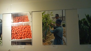 120422_2007~01