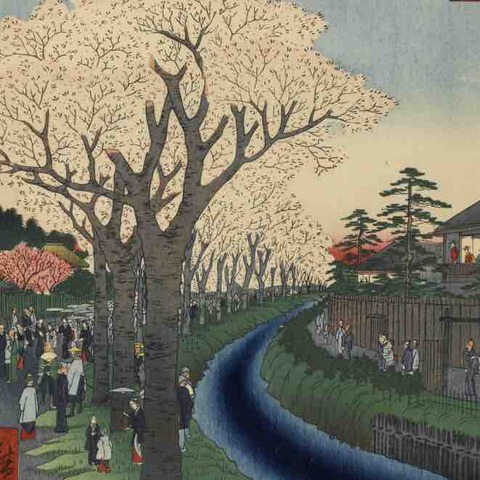 新宿】玉川堤の花の今＝何もない！〜広重江戸名所の旅〜 : アートの定理