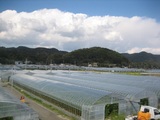 3月8日(木) 3、4集団の東側