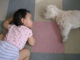 みぃとじゅにやん
