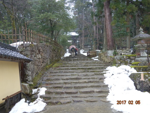DSC00610