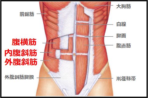 deep-muscle2