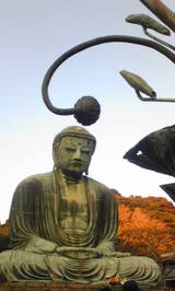 0d490b66.jpg