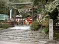 野宮神社