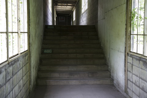8M8A9755
