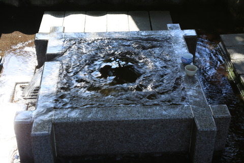 8M8A8547