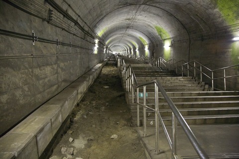 8M8A9725