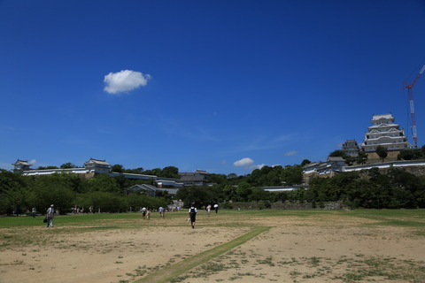 8M8A3897