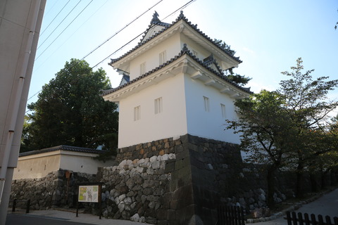 8M8A8469