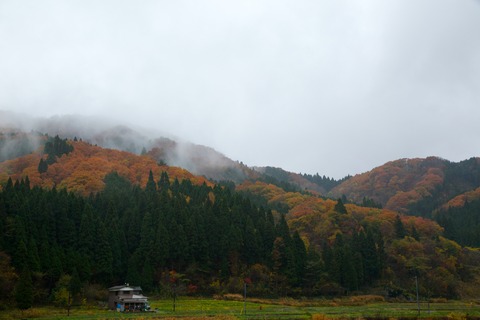 8M8A9650 - 2015-11-08 13-56-35
