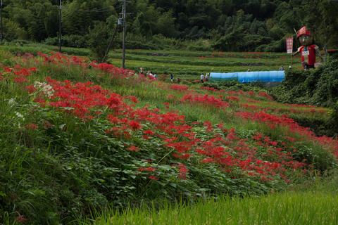 20160925-8M8A6014