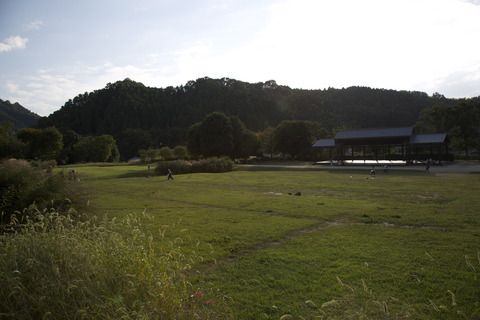 8M8A6212