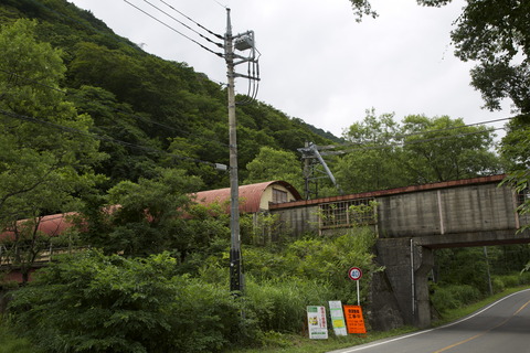 8M8A9222