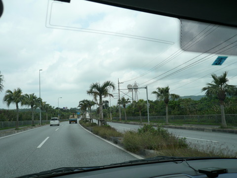 P1020288