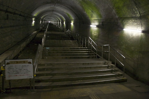 8M8A9650