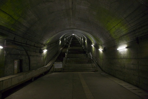 8M8A9715