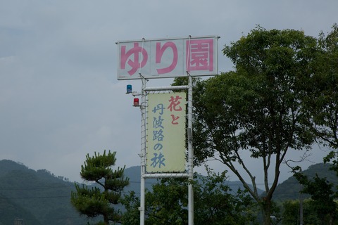 8M8A9698 - 2016-06-17 10-29-09