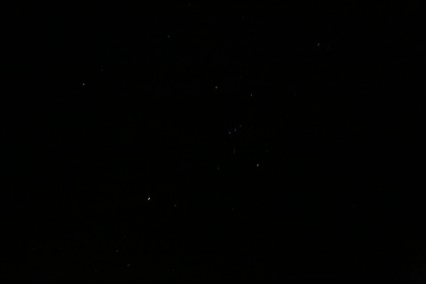8M8A8282