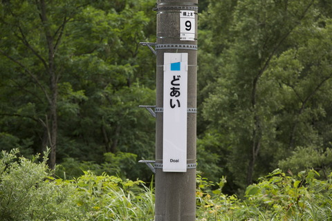 8M8A9783