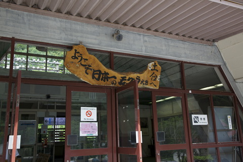 8M8A9169