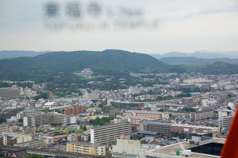 8M8A1694 - 2014-07-24 12-51-05