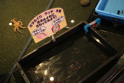 8M8A5007
