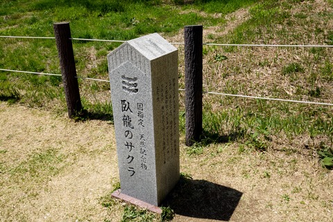 8M8A6219 - 2015-04-27 12-21-31