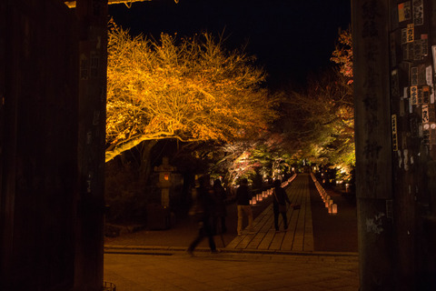 20151119-8M8A1398