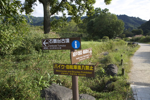 8M8A6093