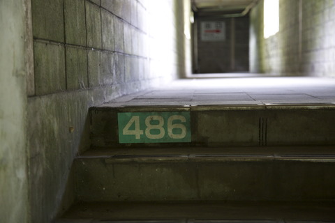 8M8A9765