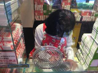 2018.08.03 西銀座チャンスセンター1番窓口