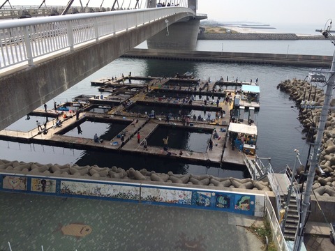 田尻町 釣り堀1