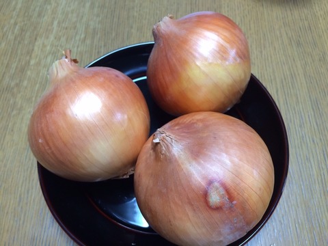 泉州玉ねぎ