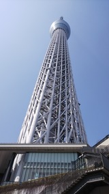 7768426f.jpg