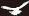 livedoor
