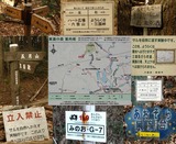 6163cf00.jpg