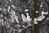 f5963e77.jpg