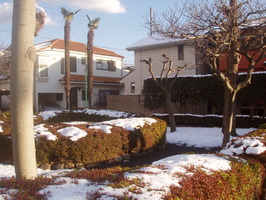 25 aftersnow