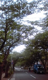 2d2395c6.jpg