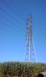 9f73411c.jpg
