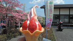 DSCN3134