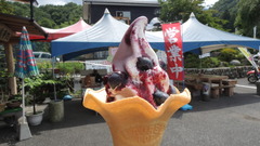 DSCN2666