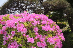 DSCN2201