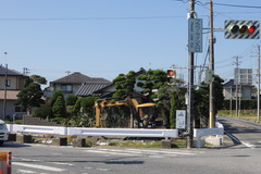 DSCN1900