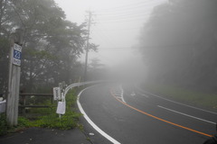 DSCN1349